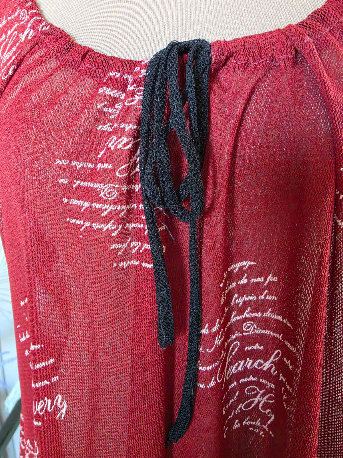 Vintage circa Y2K Art Style Scarlet Mesh Script Mini Dress - 10-14